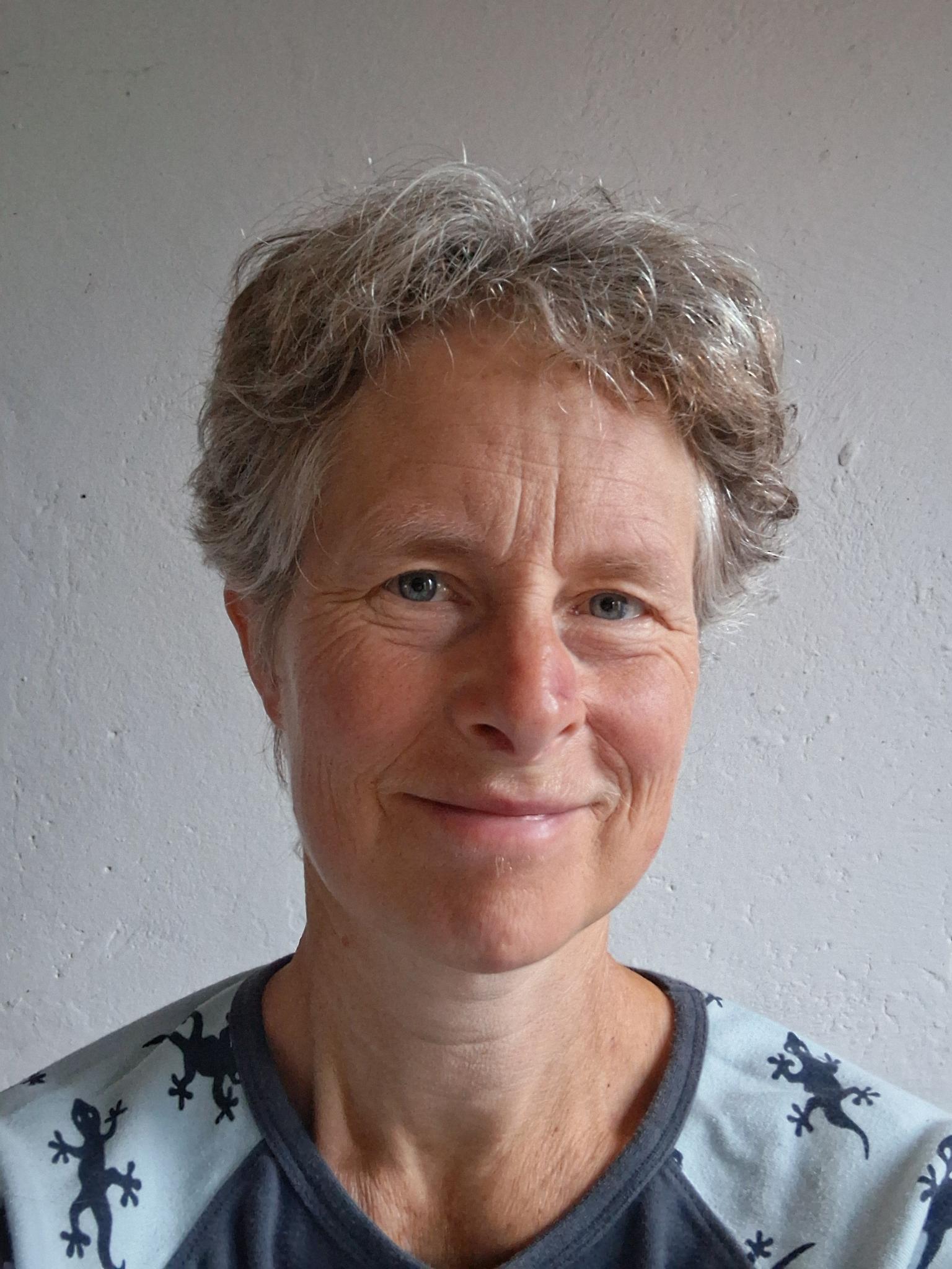 Heike Fried